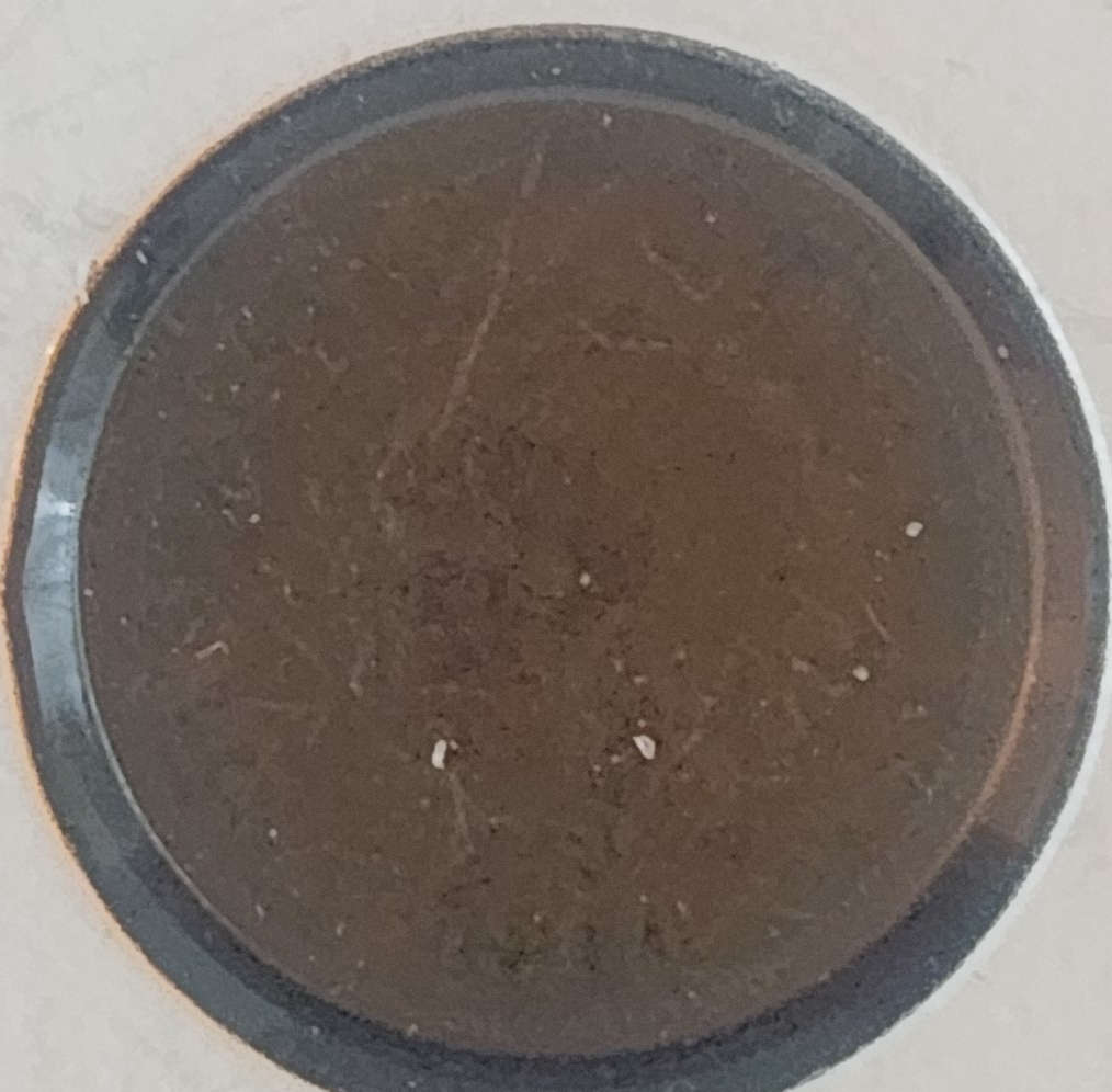 1864 Indian Head Cent