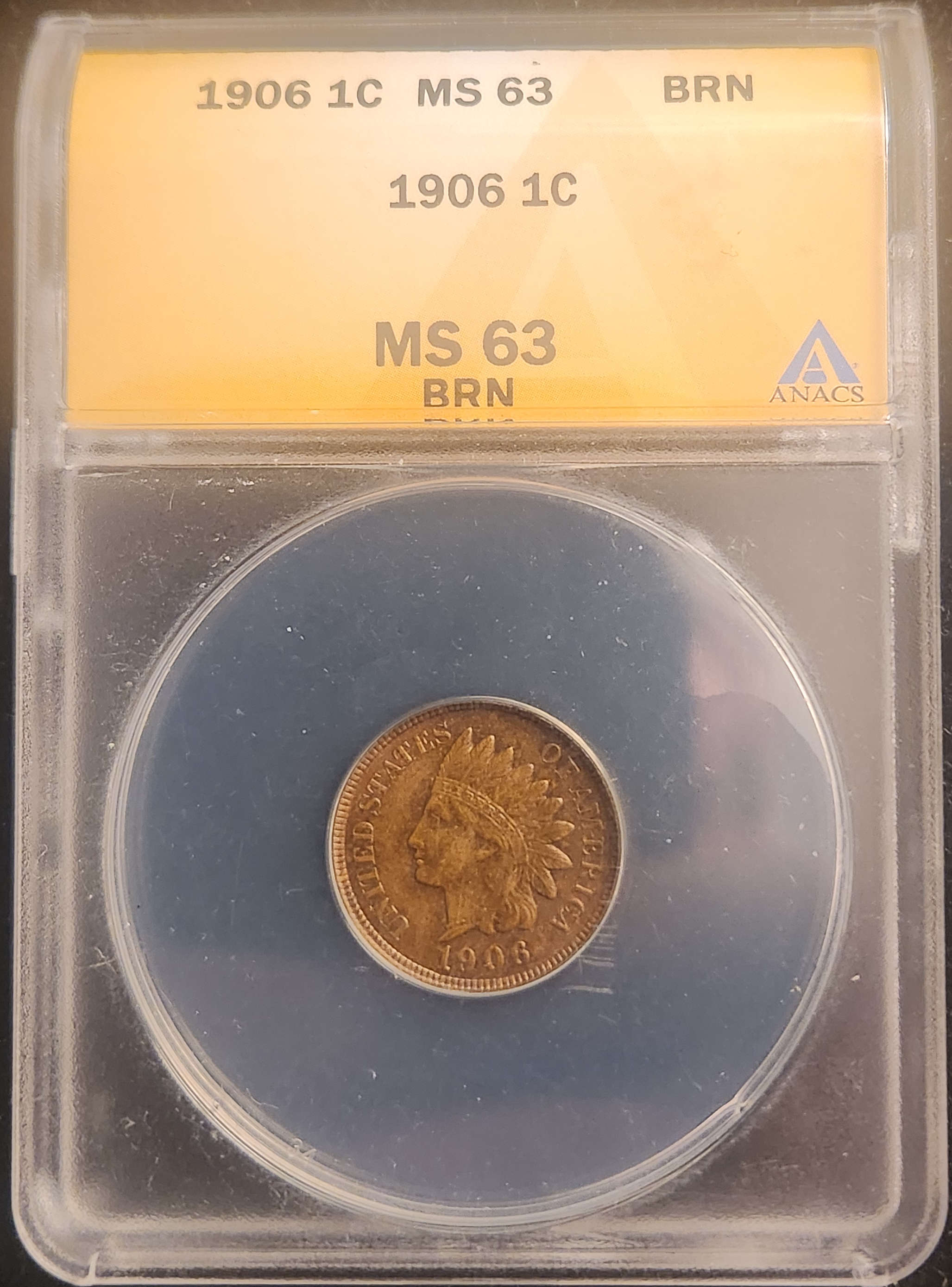 1906 Indian Head Cent